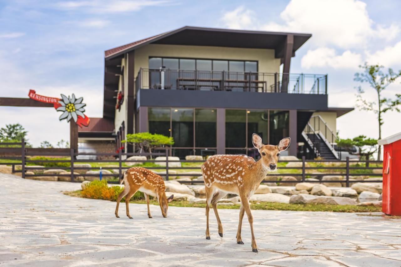 Kensington Resort Seorak Valley Σόκο Εξωτερικό φωτογραφία