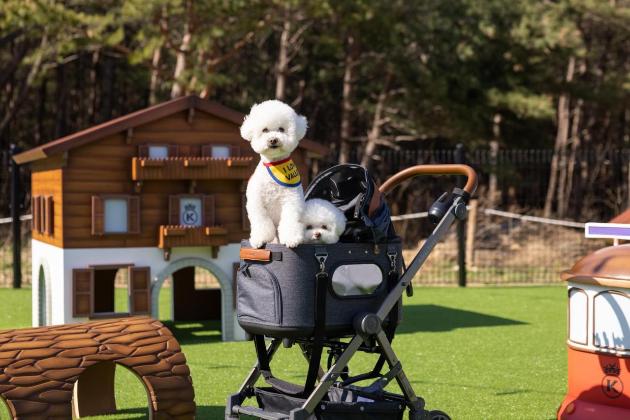 Kensington Resort Seorak Valley Σόκο Εξωτερικό φωτογραφία