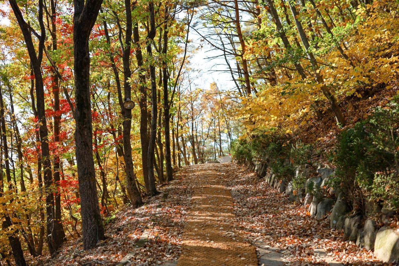 Kensington Resort Seorak Valley Σόκο Εξωτερικό φωτογραφία